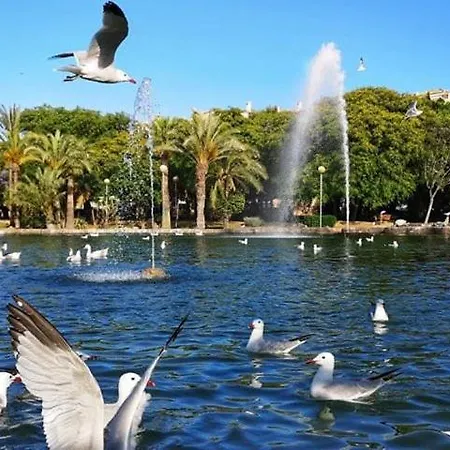 Experience Atico Centro Apartment Torrevieja